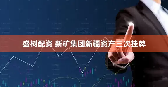 盛树配资 新矿集团新疆资产三次挂牌