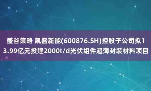 盛谷策略 凯盛新能(600876.SH)控股子公司拟13.99亿元投建2000t/d光伏组件超薄封装材料项目
